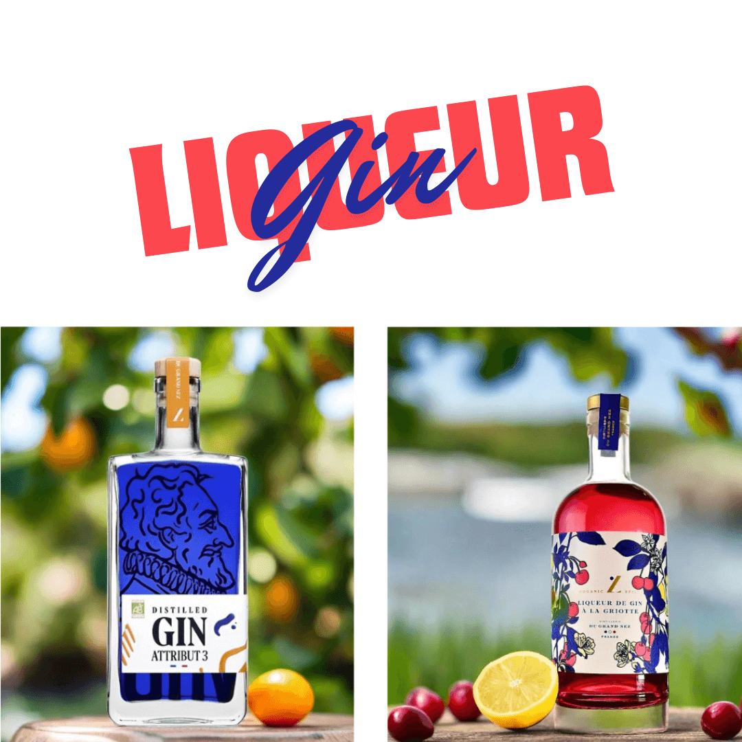 Le Gin et la Liqueur de Gin : Comprendre les Différences Essentielles