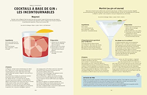 Le Gin C'est Pas Sorcier: Petites Leçons Illustrées Pour Les Amateurs