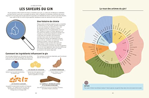 Le Gin C'est Pas Sorcier: Petites Leçons Illustrées Pour Les Amateurs