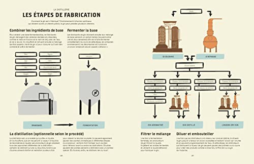 Le Gin C'est Pas Sorcier: Petites Leçons Illustrées Pour Les Amateurs