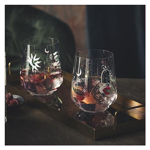 Ritzenhoff 3892001 Verre à gin 700 ml - set de 2 - série Botanic Glamour - 2 tumblers avec motif étoile-lune - Made in Germany