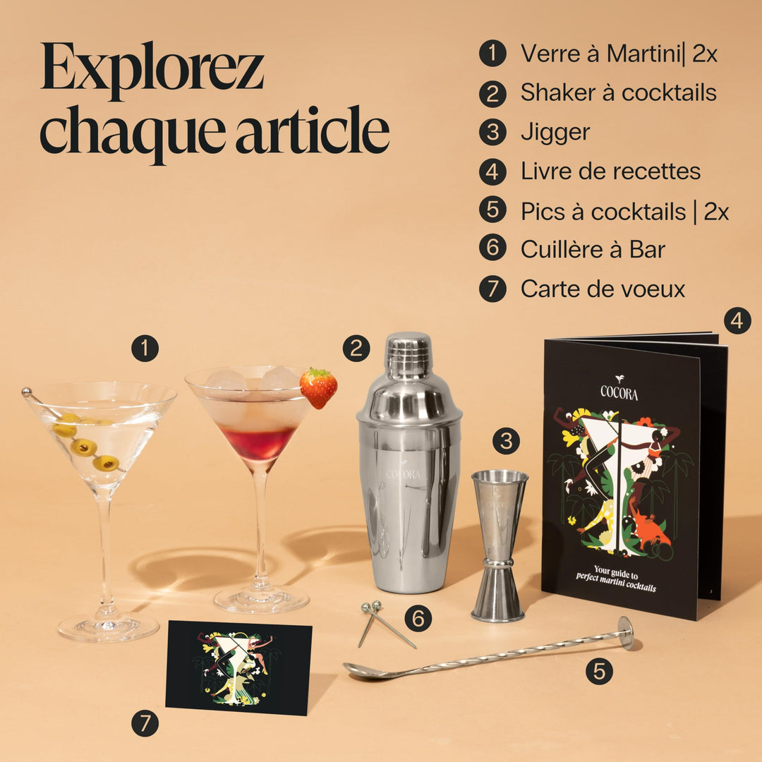 Cocora Set Martini | Set à Cocktail de 9 pièces | Shaker à Cocktail en Acier Inoxydable | Verres à Martini | Kit Barman | Livre de Cocktails (10+ Recettes) | Emballage Cadeau de Luxe (Argent)