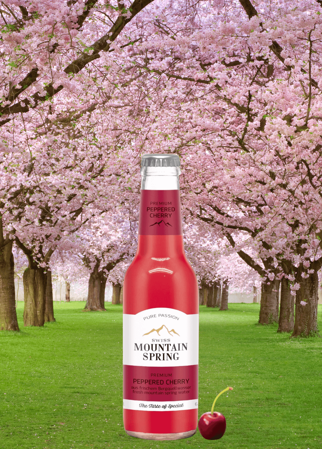 Peppered Cherry premium mixer Swiss Mountain Spring - GINSATIONS