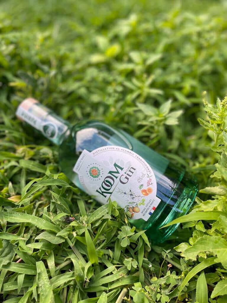 Bouteille de gin bio avec notes d’agrumes et épices