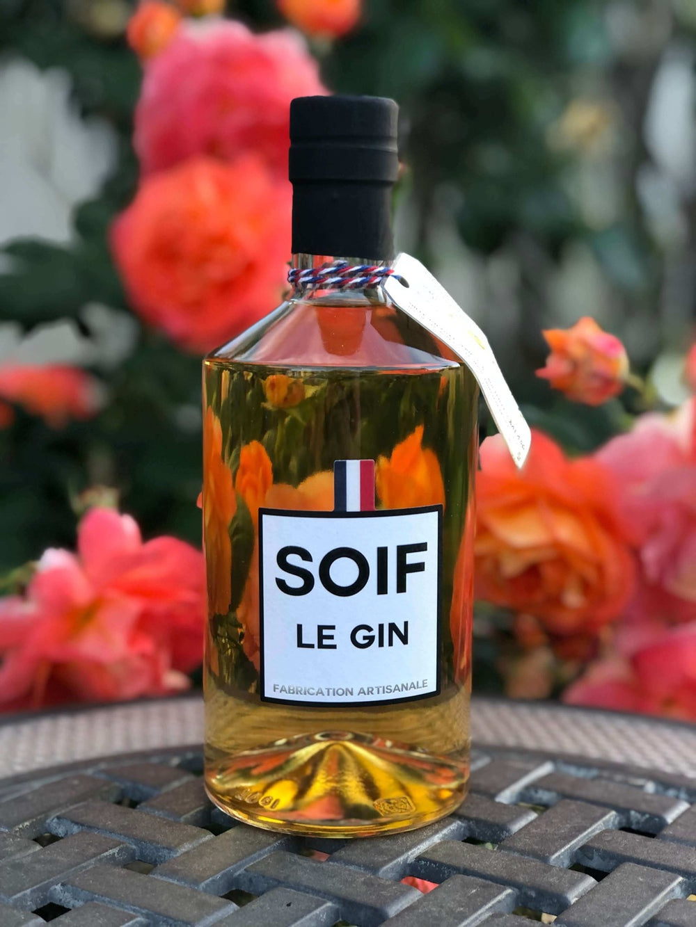 SOIF Le Gin français préféré - GINSATIONS